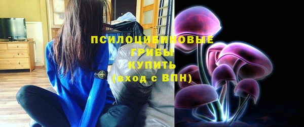стаф Козловка
