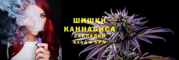 стаф Козловка