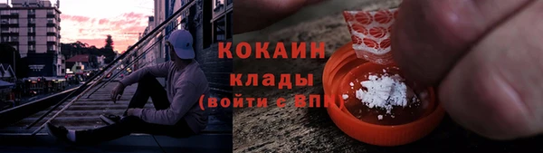 стаф Козловка