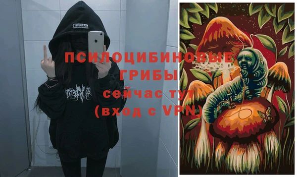 стаф Козловка